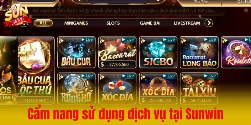 Cẩm nang sử dụng dịch vụ chuẩn xác tại Sunwin