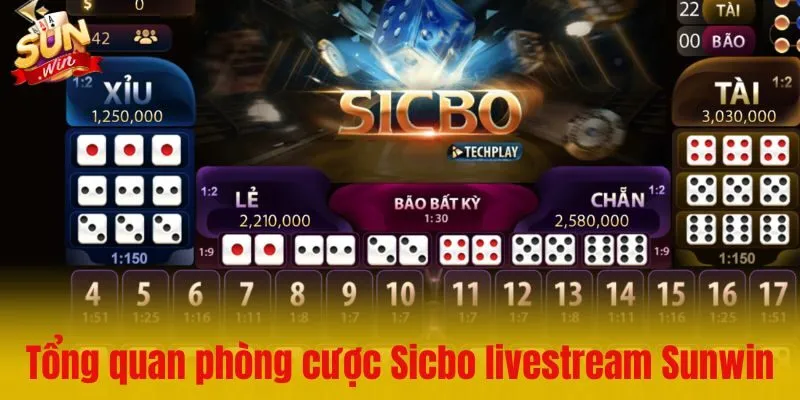 Giới thiệu tổng quan về phòng cược Sicbo livestream Sunwin